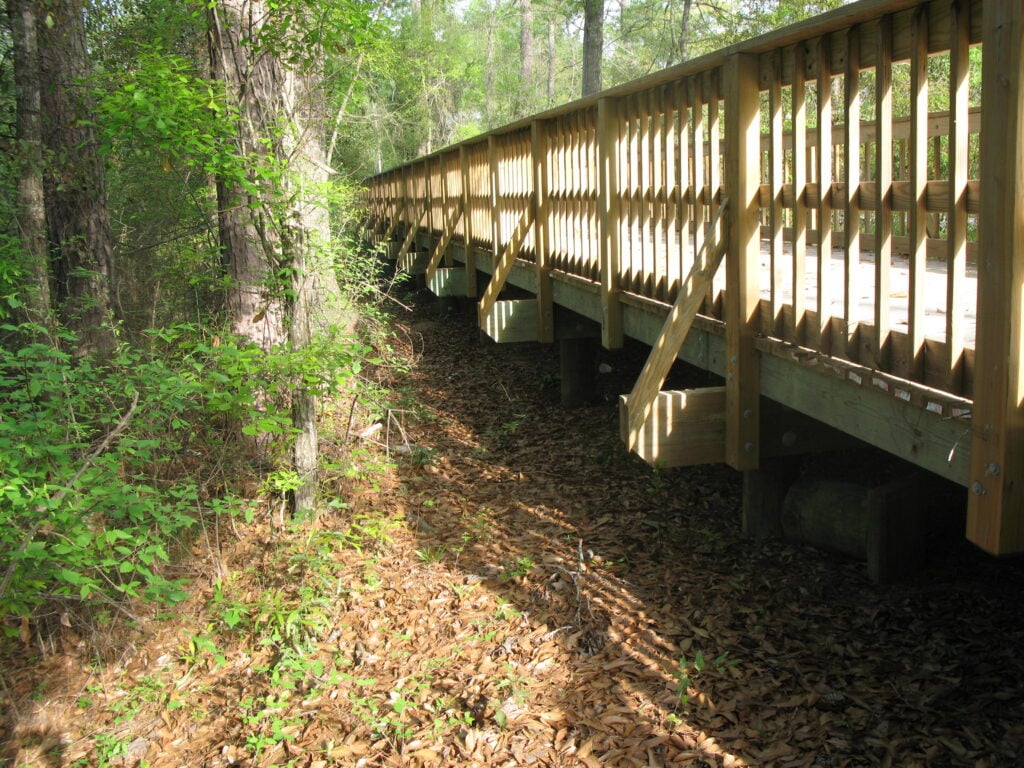 bridge made of wood surrounded by trees