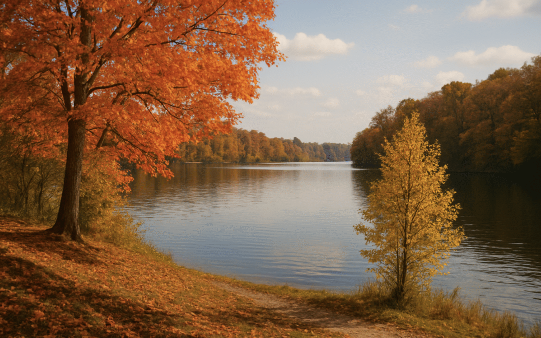 Fall Activities Around Lake Pontchartrain